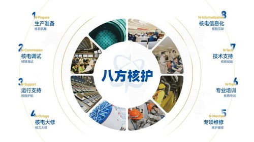 跨越太平洋的技術舵手 中國核電人赴美完成爆破閥檢修技術服務紀實
