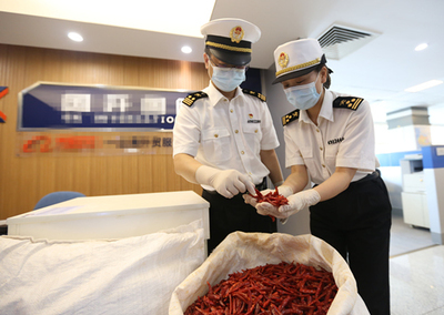 中非經(jīng)貿(mào)博覽會 合作成果豐碩，攜手共譜發(fā)展新篇